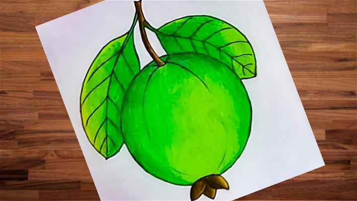 simple fruit drawing