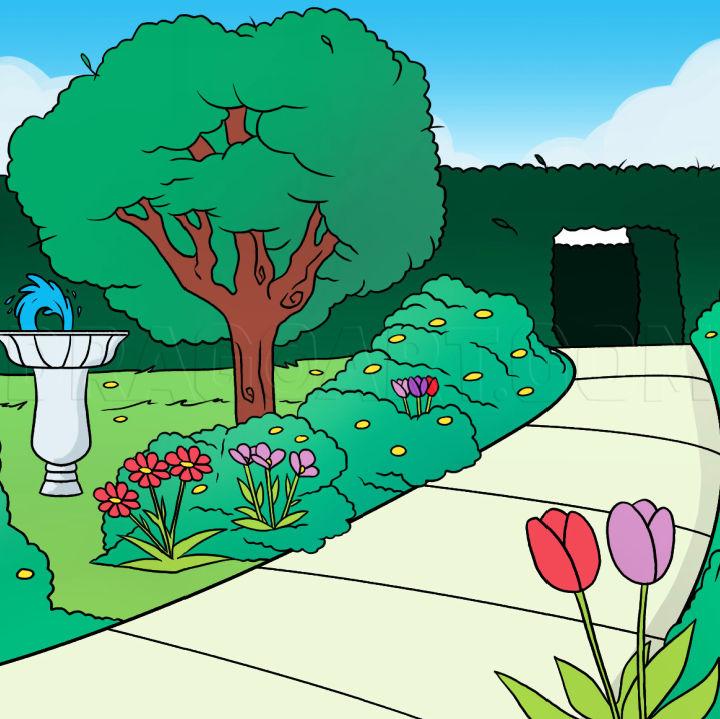 Step By Step Garden Drawing