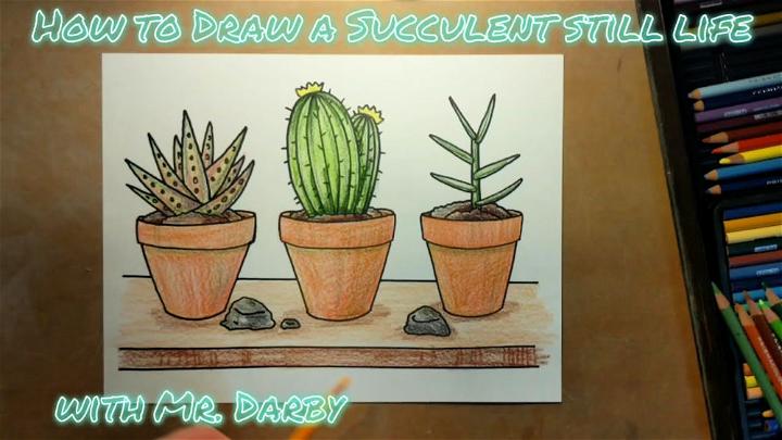 Succulent Still Life Drawing