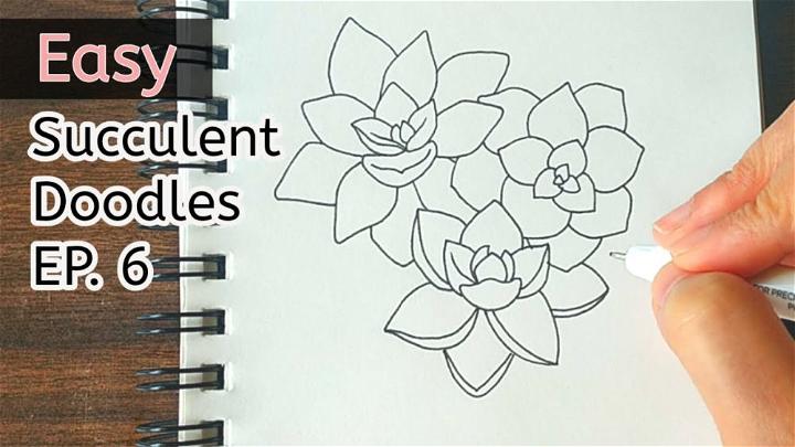 Succulents Drawing for Beginners