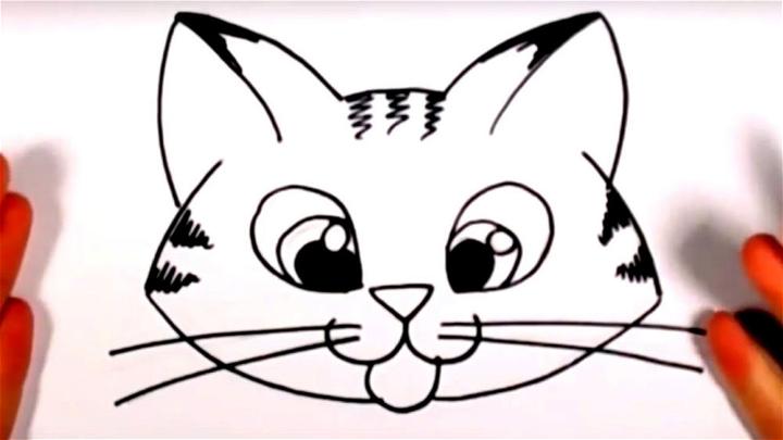 Tabby Cat Face Drawing for Kids