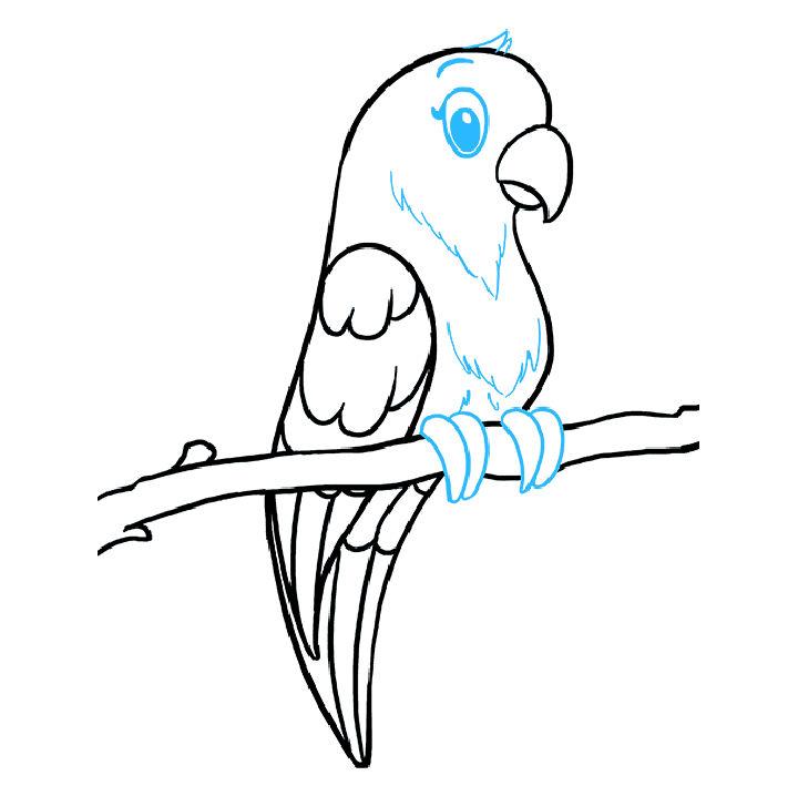 Wonderful Parrot Drawing for Beginner