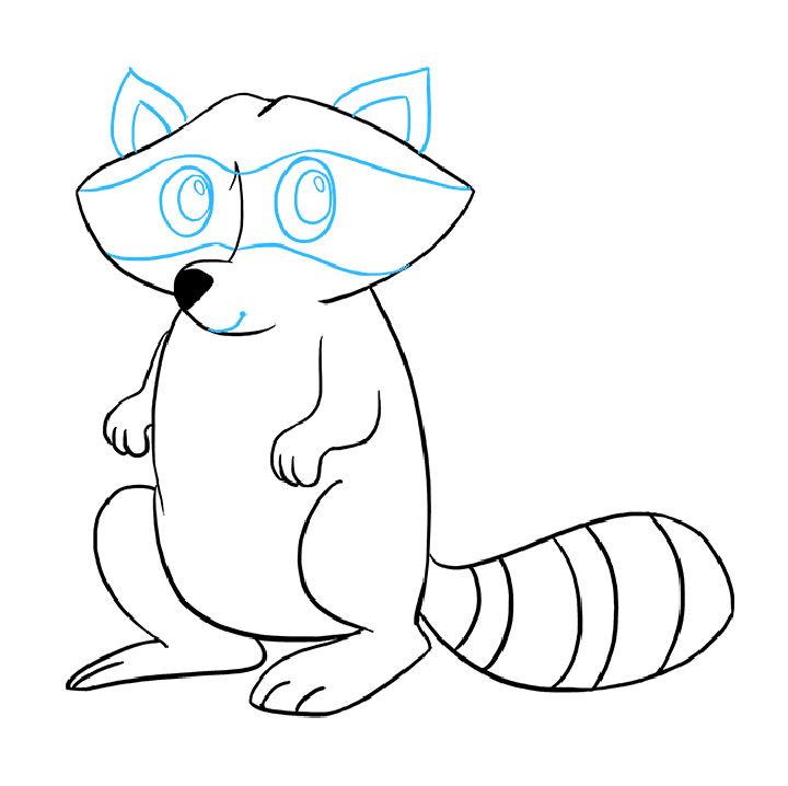 Wonderful Raccoon Drawing for Beginner