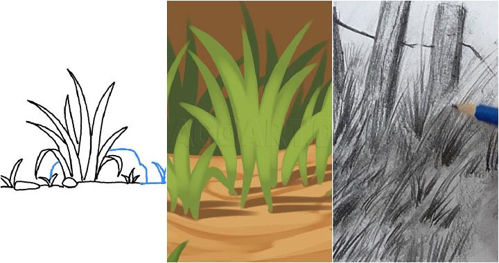 25 Easy Grass Drawing Ideas - How to Draw Grass