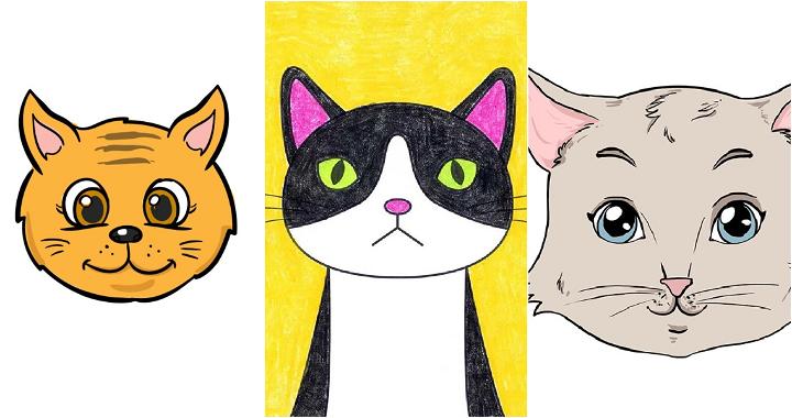 25 Easy Cat Face Drawing Ideas - How to Draw a Cat Face