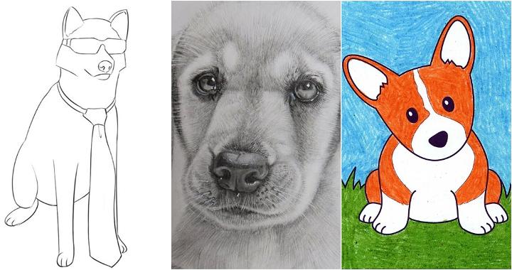 25 Easy Dog Drawing Ideas - How to Draw a Dog