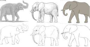 25 Easy Elephant Drawing Ideas - How to Draw an Elephant