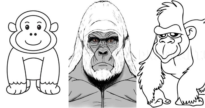 25 Easy Gorilla Drawing Ideas - How to Draw a Gorilla