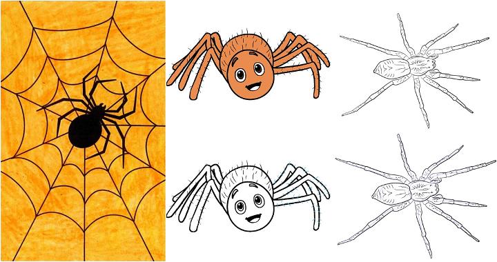 25 Easy Spider Drawing Ideas - How to Draw a Spider