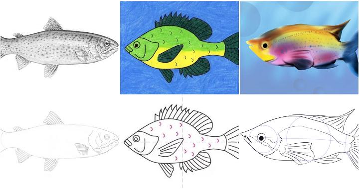 25 Easy Fish Drawing Ideas - How to Draw a Fish