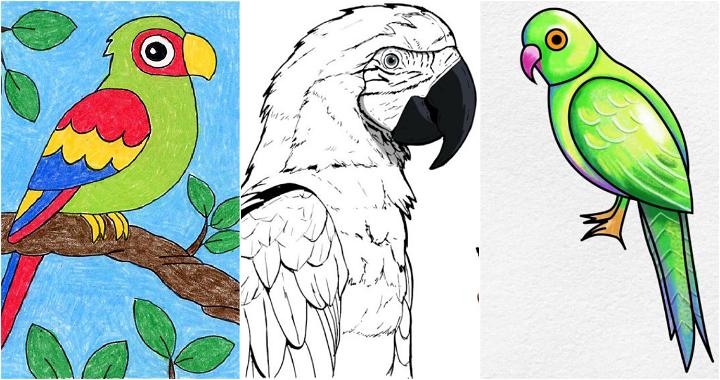 Draw parrot sketch vector, straight on Craiyon-gemektower.com.vn