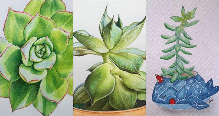 20 Easy Succulent Drawing Ideas - How to Draw a Succulent