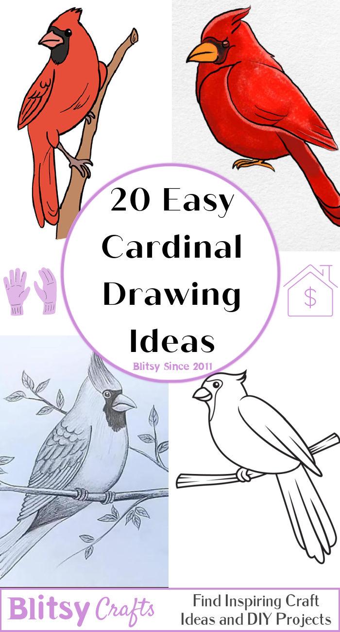 20 Easy Cardinal Drawing Ideas - How to Draw a Cardinal
