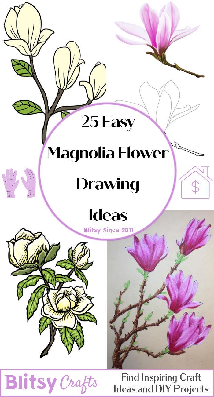 magnolia flower drawing step by step