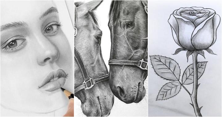 25 Easy Realistic Drawing Ideas - How to Draw Realistic