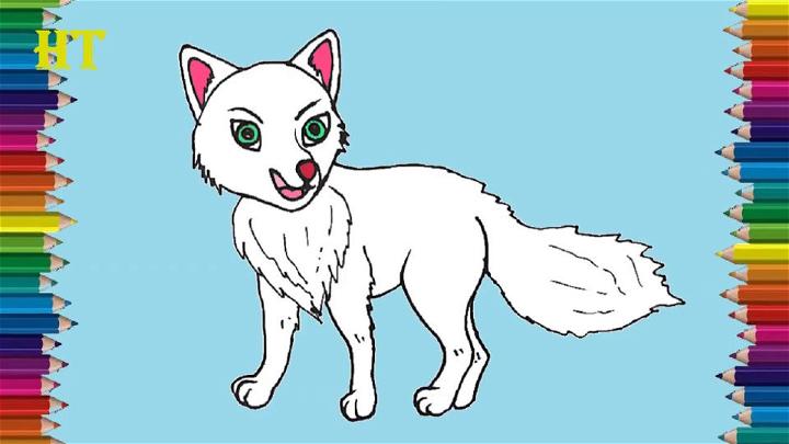 Arctic Fox Cartoon Drawing