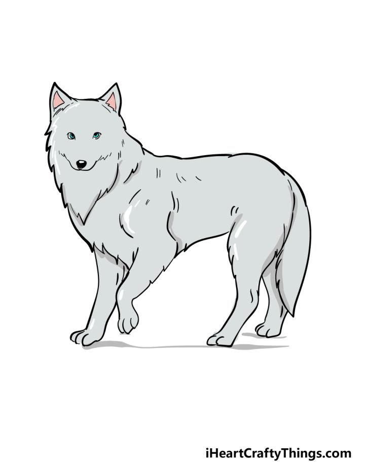 Arctic Fox Drawing Step by Step Guide