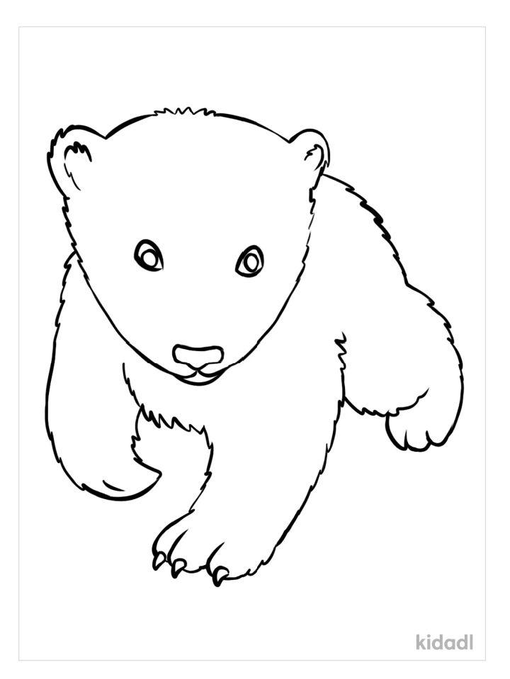 Baby Bear Coloring Pages for Little Ones