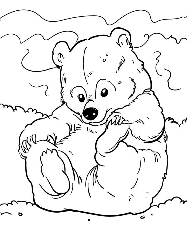 Bear Coloring Pages, Tracer Pages, and Posters