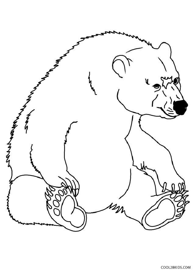 Bear Coloring Pages to Print