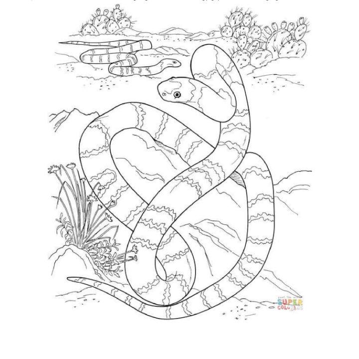 Big Long Snake in a Desert Coloring Page