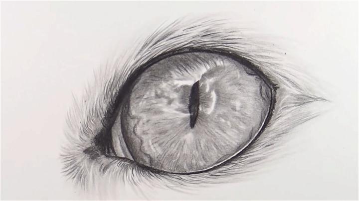 Black and White Cat Eye Drawing