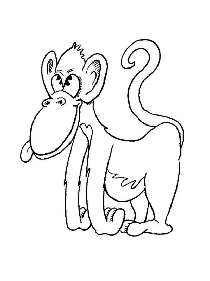 Cartoon Monkey Coloring Pages for Kids