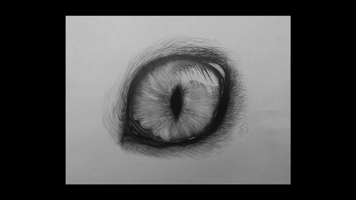Cat Eye Drawing for Kids