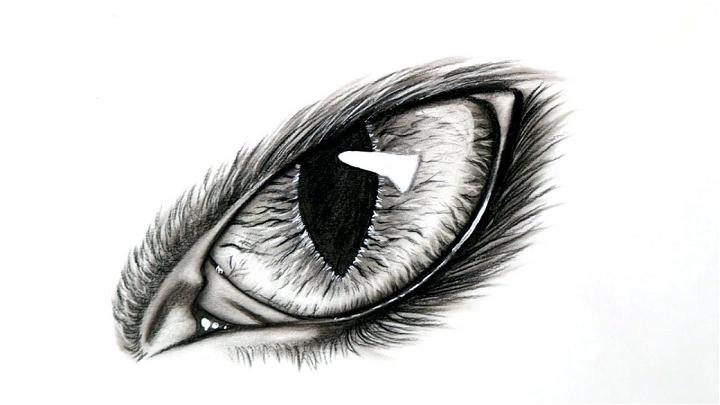 Cat Eye Picture to Draw