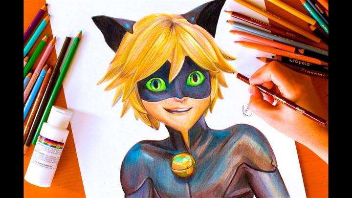 Cat Noir Colored Drawing