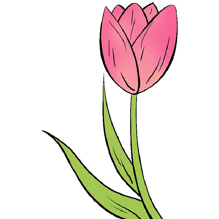Color Tulip Drawing for Kids