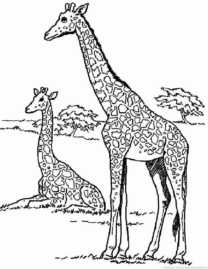 Coloring Pages Giraffe and Printable