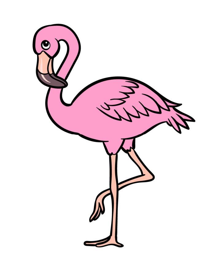 Cool Cartoon Flamingo Drawing