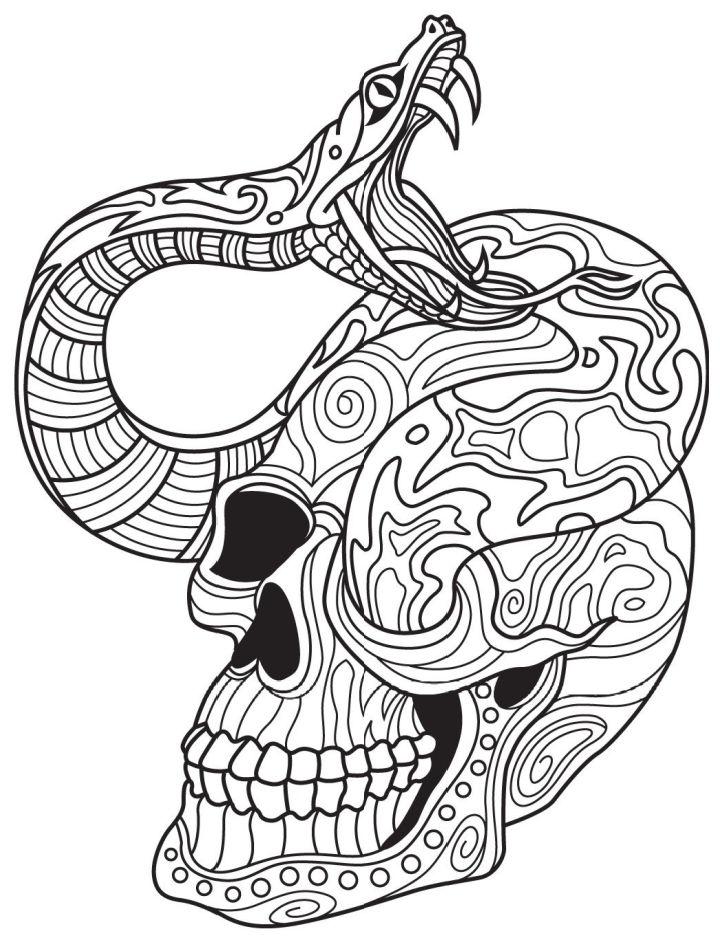 Cool Snakes Coloring Pages
