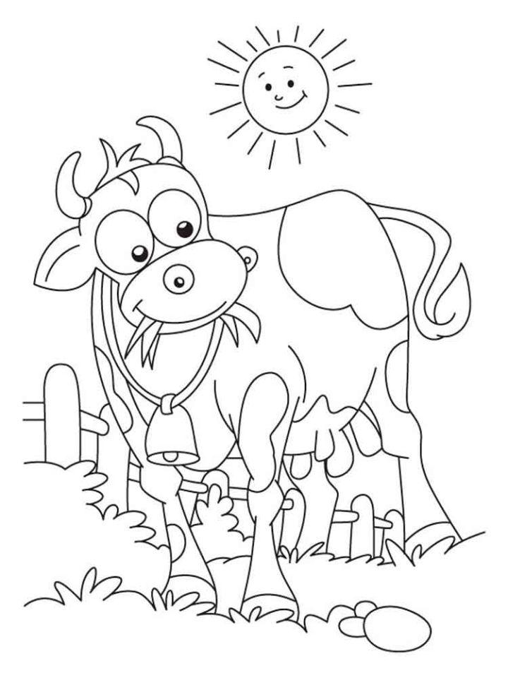 Cow Coloring Pages Tracer Pages and Posters