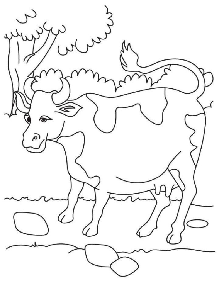 Cow Coloring Pages for Little Ones