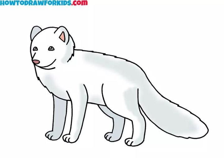 Cute Arctic Fox Drawing