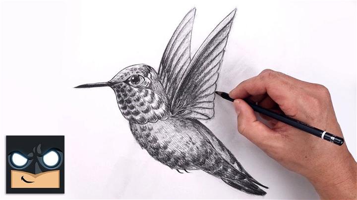 Cute Hummingbird Drawing