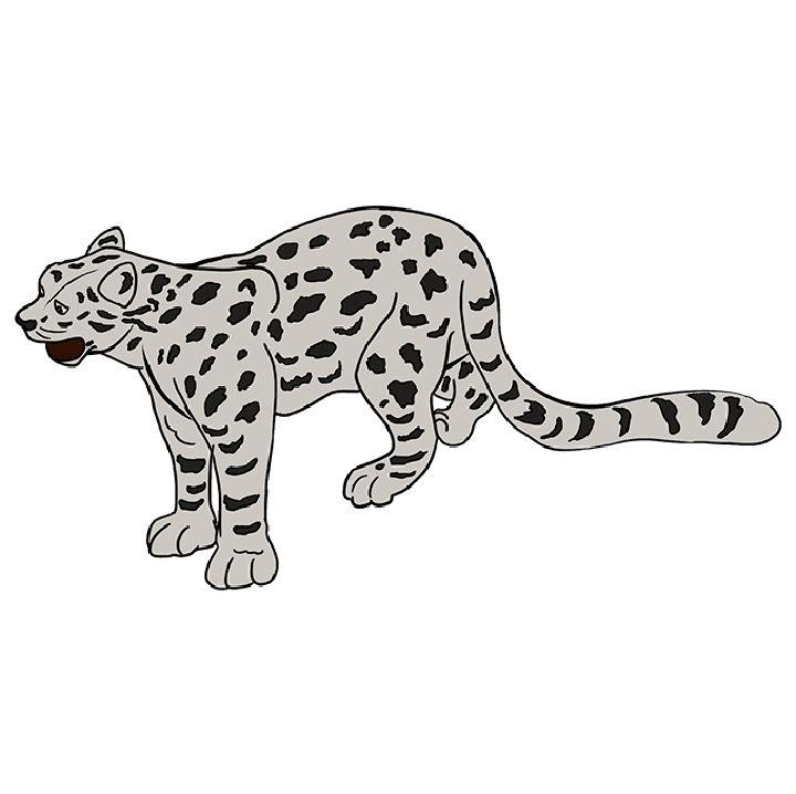 snow leopard drawings for kids