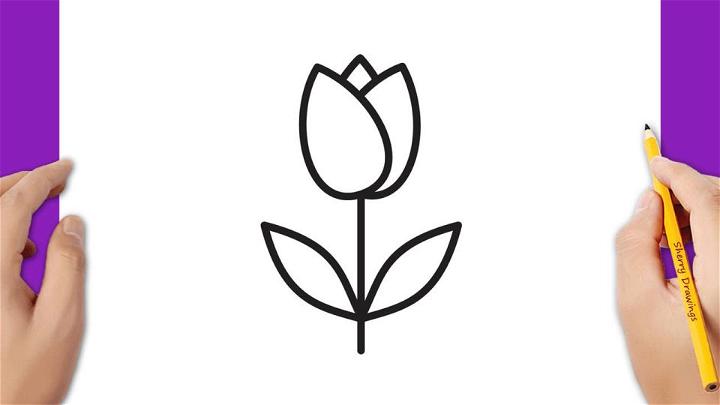 Cute Tulip Flower Drawing