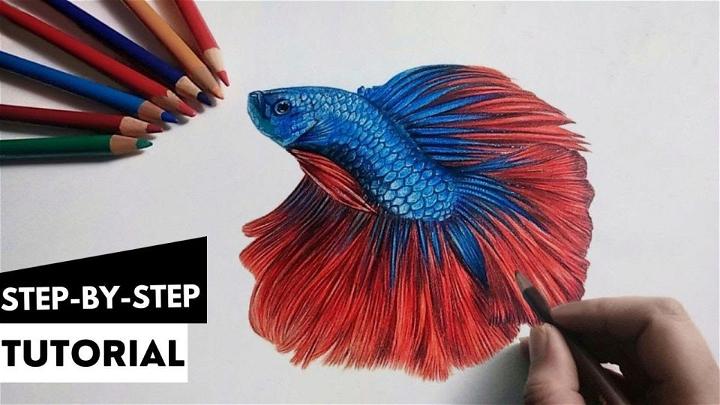 Draw Realistic Betta Fish
