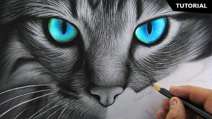 Draw Realistic Cat Fur Drawing Technique