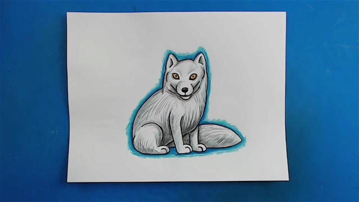 Draw Your Own Arctic Fox