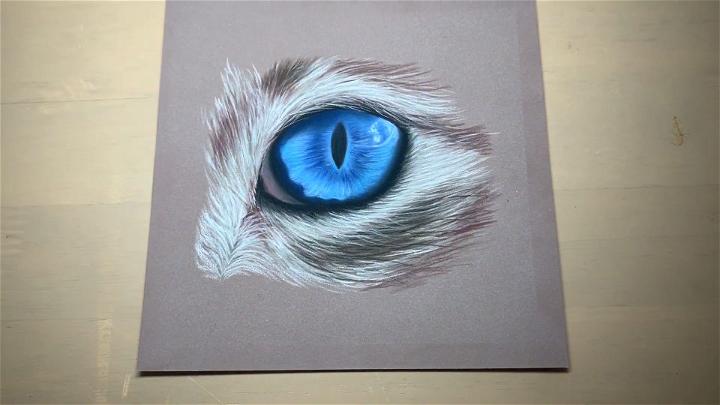Draw a Cat Eye Using Pastel Pencils