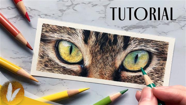 Draw a Cat Eyes with Colored Pencils