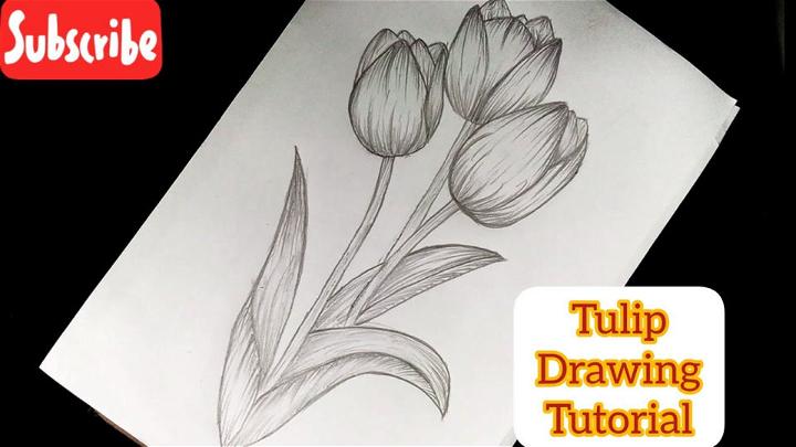 Draw a Tulips for Beginners