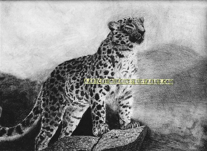 Draw an Amur Leopard on Pastel Paper