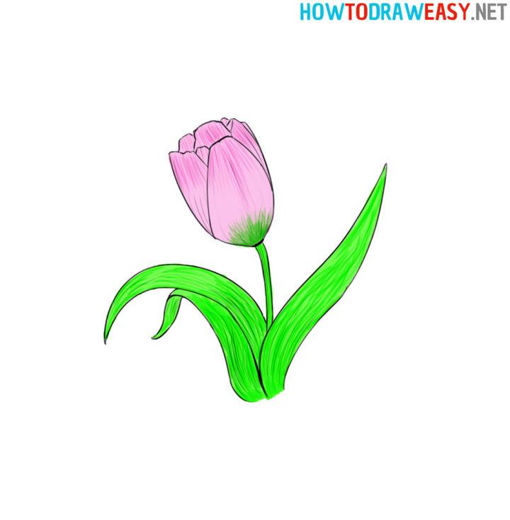 25 Easy Tulip Drawing Ideas - How to Draw a Tulip