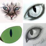 25 Easy Cat Eye Drawing Ideas - How to Draw a Cat Eye