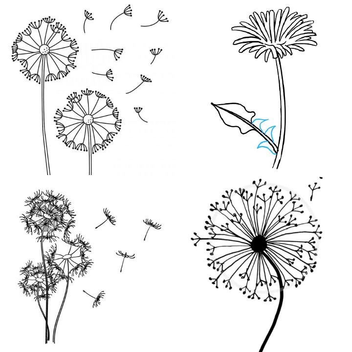 How To Draw A Dandelion Puff